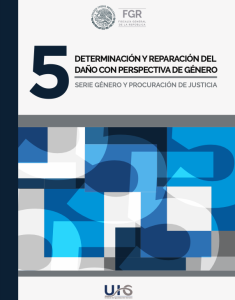 Determinación y reparación del daño con perspectiva de género