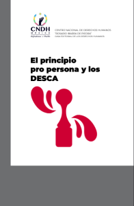 CNDH. El principio pro persona y los DESCA