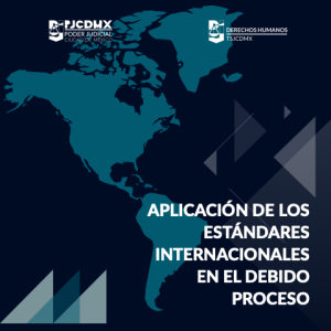Aplicación de estándares internacionales en el debido proceso