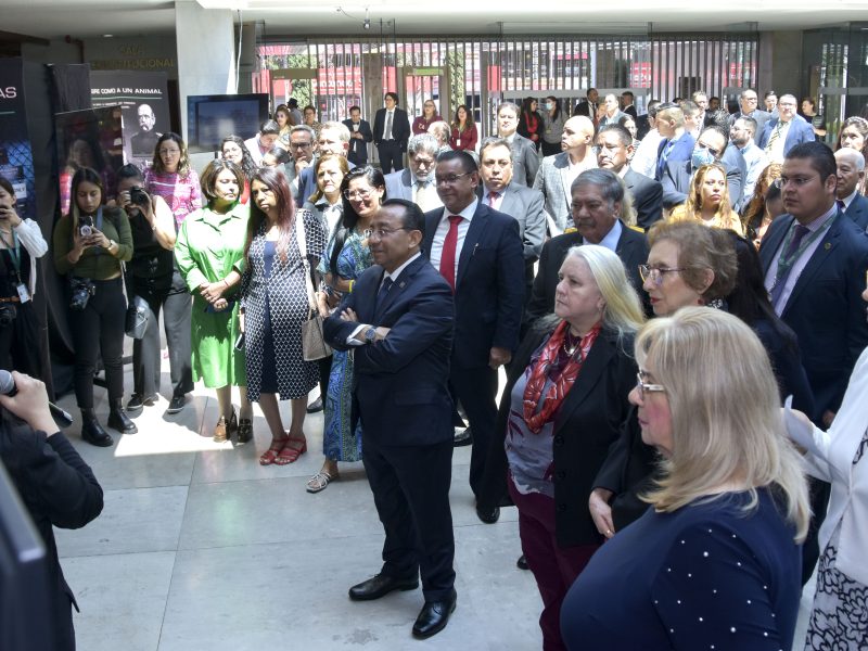Exposición salud mental PJCDMX