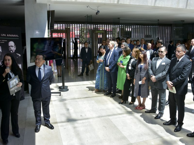 Exposición salud mental PJCDMX